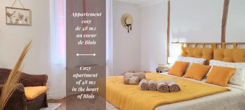 Blois Apartment | Blois City - Le Petit Louis XII