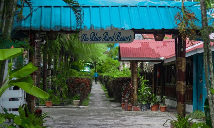 Havelock Island Resort | Blue Bird Resort