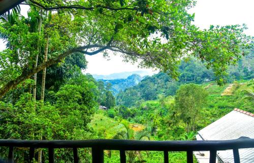 Ella Cabin | Blue Leaf Ella