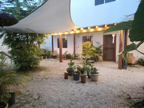 Majahual Apartment | Blue Mahahual