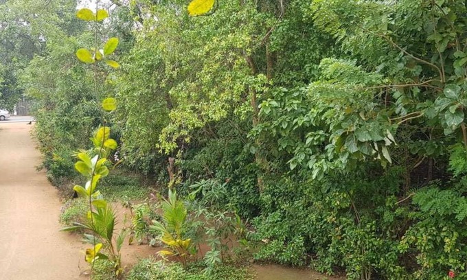 Habarana House | Border