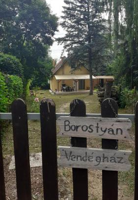 Tiszaug Apartment | Borostyán Vendégház