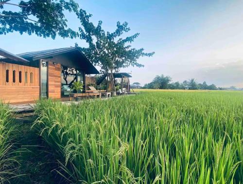 San Sai House | BREATHE - Rice Valley