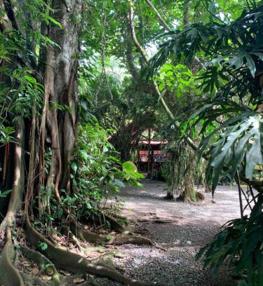 Cahuita House | Brigitte's Ranch