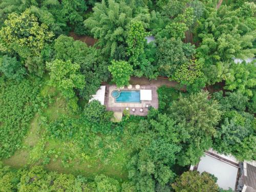 Tala Hotel | Brij Sone Bagh, Bandhavgarh - A Luxury Jungle Retreat