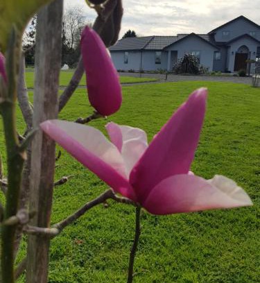 Tamahere Bed & Breakfast | Bruntwoodlodge