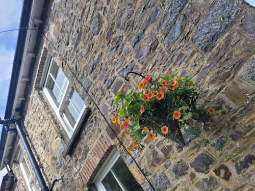 Llandyssiliogogo House | Brynteg cottage near seaside resort of New Quay