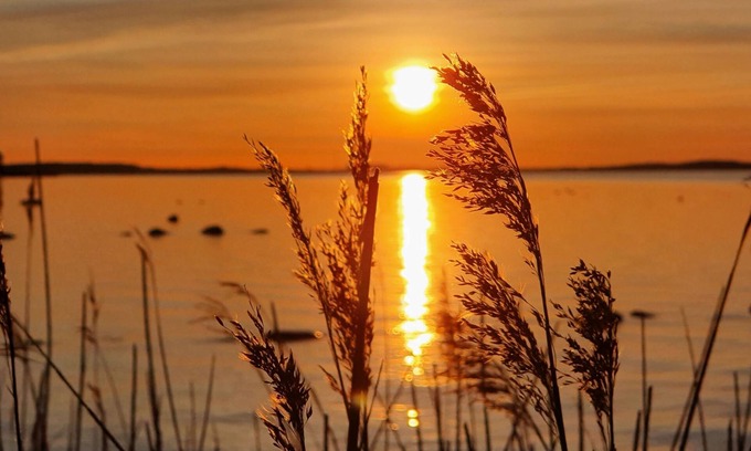 Stahlbrode House | Bungalow for 2 guests with 38m² in Sundhagen (250792)