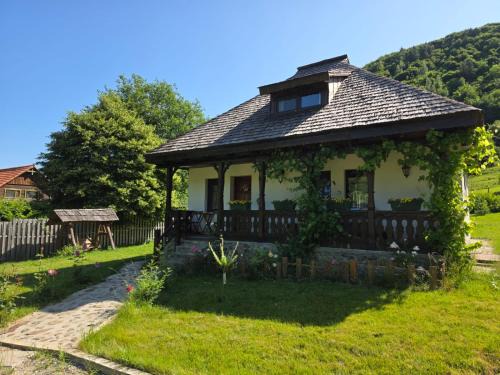 Turnu Rosu House | Căsuța din Rusca
