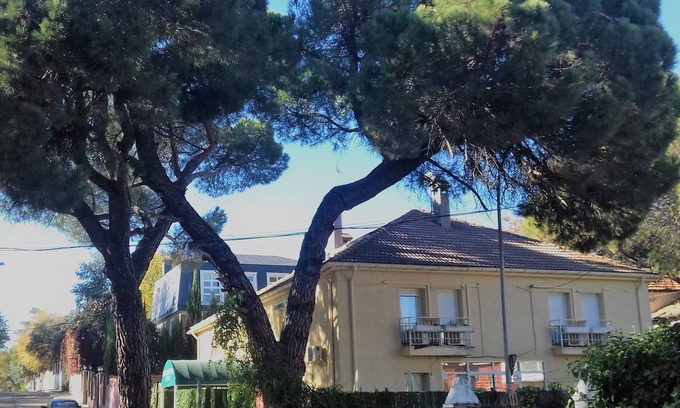 El Plantio Hotel | C&H Aravaca Garden