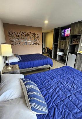 Ciudad Lopez Mateos Apartment | C3-S10 DOUBLE EXECUTIVE SUITE at ITESM CEM Tourists & Travelers Choice Foreign Students Families Companies Executives WELCOME! 10min Izcalli-15min Esmeralda-20min Sátelite-25min AIFA