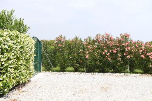 San Michele al Tagliamento Apartment | CA ADELAIDE APPARTAMENTO IN RANCH CON GIARDINO