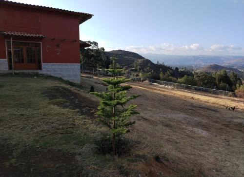 Cajamarca Bed & Breakfast | Cabaña casa de campo a 20 minutos de la ciudad de Cajamarca