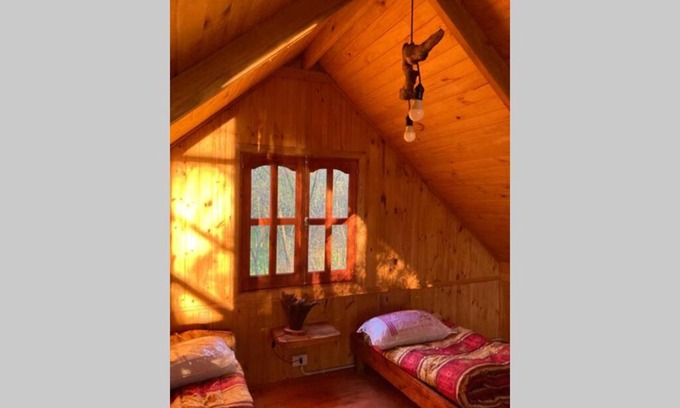 Partido de Roque Perez House | Cabaña entre los arboles encantadora