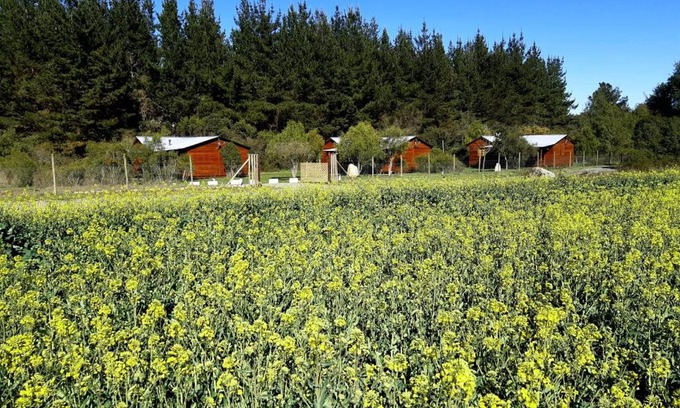 Parral House | Cabañas Los Ciervos