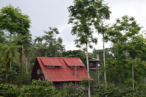 Cuetzalan del Progreso Cabin | Cabañas los Cedros