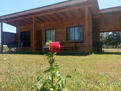 Villarrica Ski Chalet | Cabañas Quilacoyan entre Villarrica y Pucon