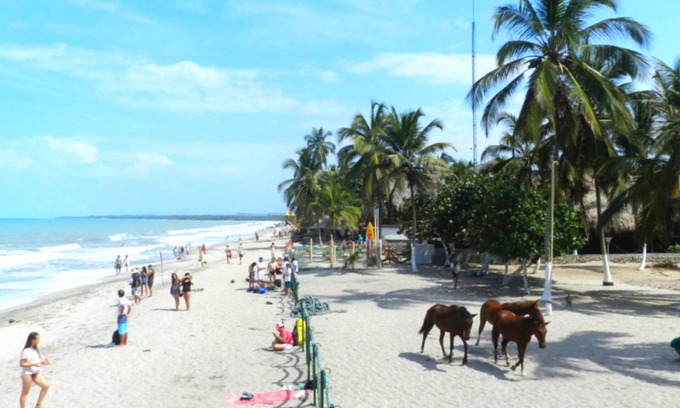 Palomino Apartment | Cabañas Vacacionales En Palomino Guajira