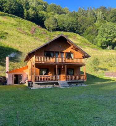 Moieciu de Jos Ski Chalet | Cabana Trei Brăduți