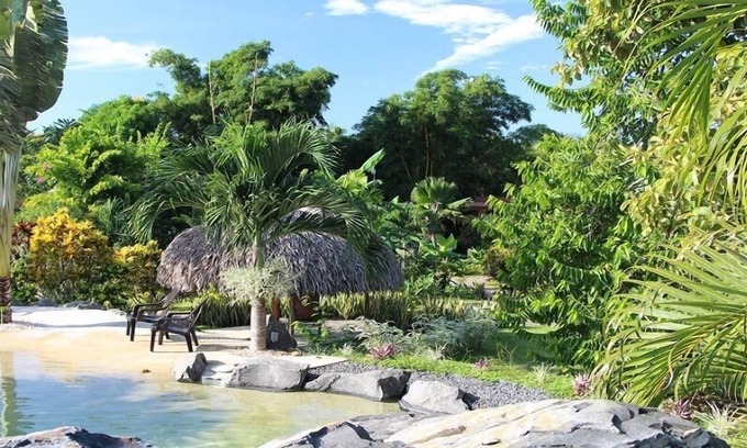 Copecito Bed & Breakfast | Cabanas los Colibris