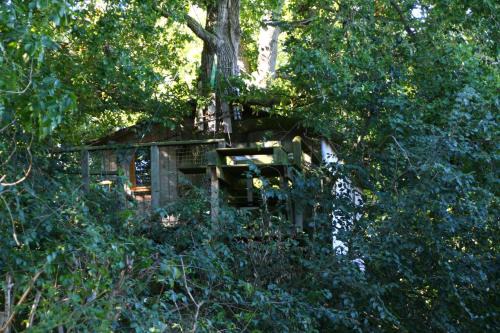 Henanbihen Other | Cabane dans les arbres