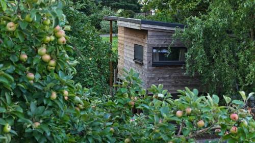 Baronville Bed & Breakfast | Cabane du hibou