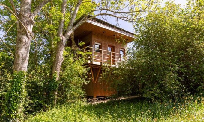 Vert House | Cabane perchee