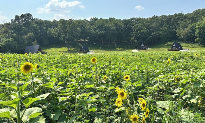 Princeton Cabin | Cabin 2: Discover our good nature at The Wildflower