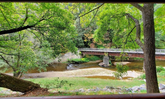 Galax Apartment | Cabin 317 - Three's a Crowd