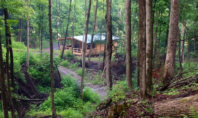 Swain Cabin | Cabin Creek Getaway by Letchworth State Park - Waterfalls & Woods!
