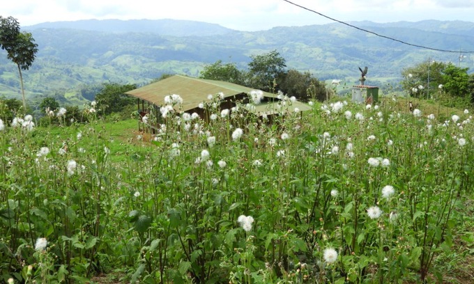 Cascada Azul Cabin | Cabin with an incredible forest view