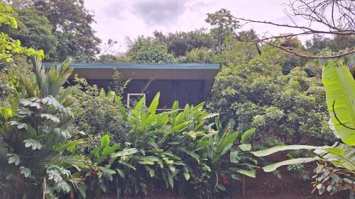 Dominical Apartment | Cabinas fave