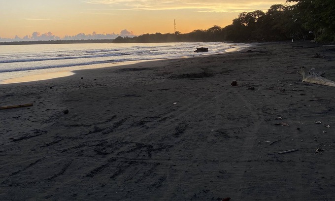 Cahuita Hotel | Cabinas Tito