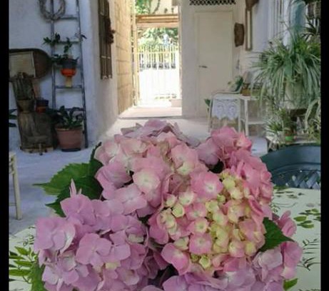 San Martino Valle Caudina House | Campanino68