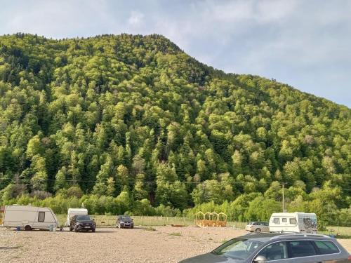 Tulnici Other | Camping Pentru Rulote, Auto Rulote, Corturi Personale La Barbosu in Lepsa, Vrancea