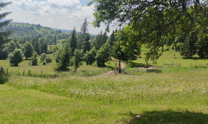 Damuc Other | Camping VATRA