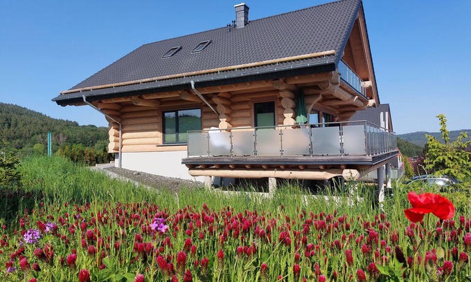 Langweiler Ski Chalet | Canadian log cabins in the Hunsrück with lake and national park views