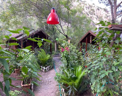Cirali Cabin | Canario Bungalows