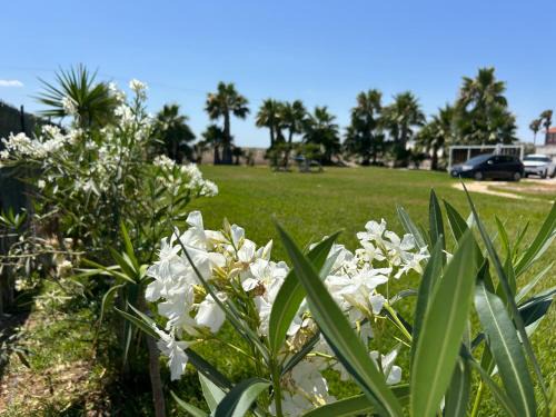 Margherita di Savoia Villa | Cancello Blu