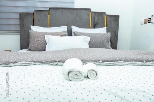 Madina Apartment | Caroline Appt-spacious deluxe 2 bedroom appt