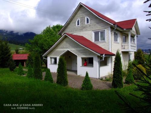 Dorna Candrenilor Villa | Casa Andrei Vatra Dornei