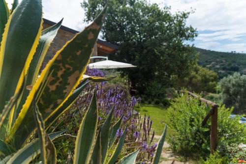 Capaccio Scalo House | Casa brillocco Castellabate