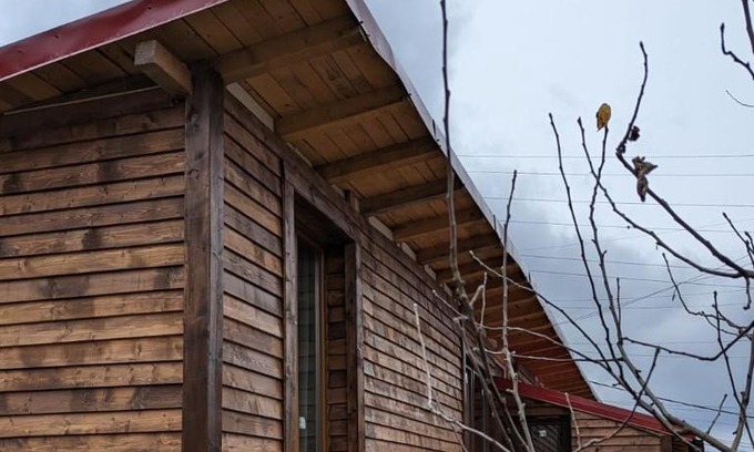 Lupeni House | Casa CeDar