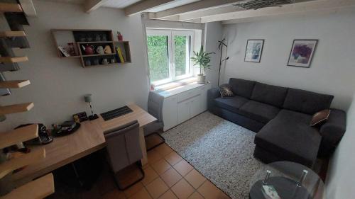 Minusio House | Casa celeste, stanza in appartamento condiviso