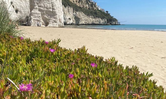 Vieste House | Casa Chicchella