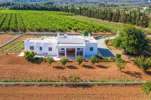 Sant Carles de Peralta House | Casa Cristina Ibiza