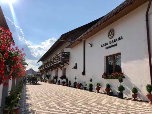 Ocna Sugatag House | Casa Daiana