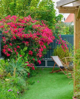 Varzea de Sintra Bed & Breakfast | Casa das Hortênsias - Charming Guest House