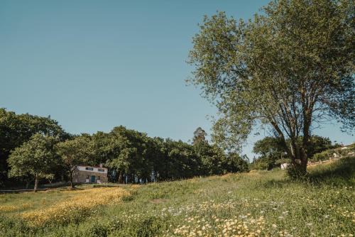 Maceira House | Casa de la Pradera