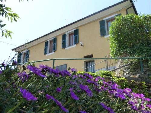Casanova Lerrone Apartment | Casa dei Fiori